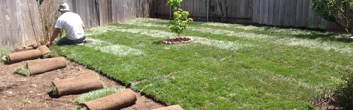 Sod installation in Berks County pa