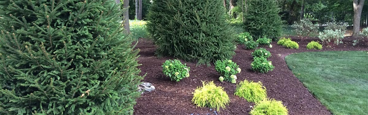 Berks County Pa Shrub Care